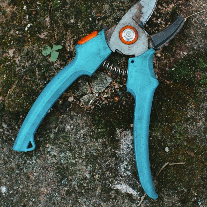 W ogrodzie: Sekator