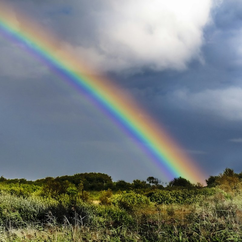 Natural phenomena: Rainbow