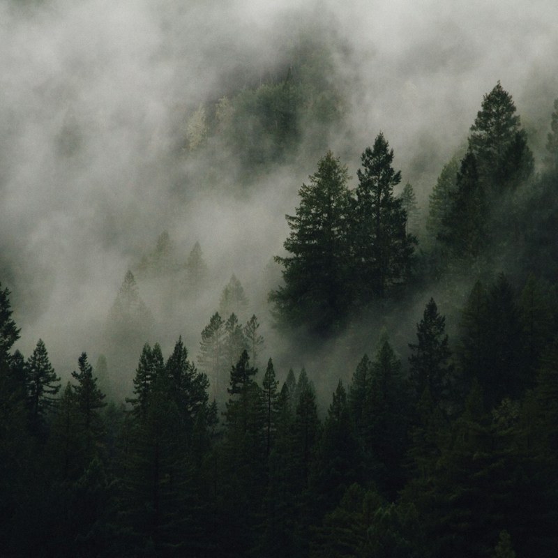 Natural phenomena: Fog