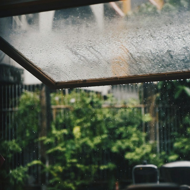 Natural phenomena: Rain